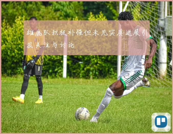 雄鹿队积极补强但未见实质进展引发关注与讨论